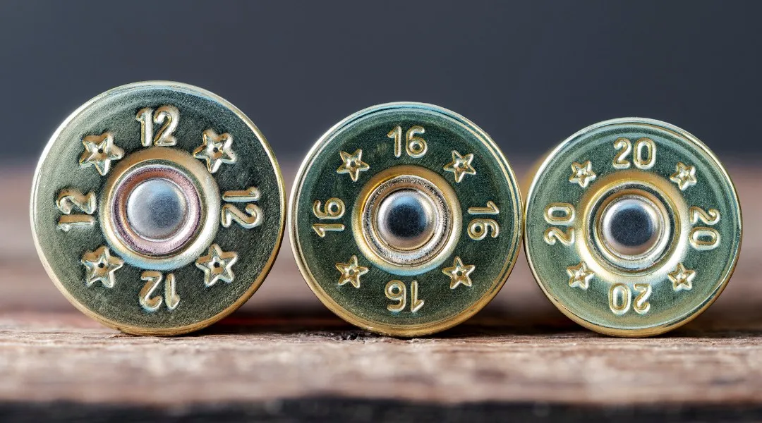 Brass heads of 12-, 16- and 20-gauge shotgun shells side by side