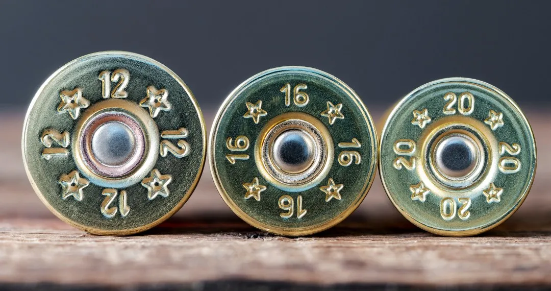 Brass heads of 12-, 16- and 20-gauge shotgun shells side by side