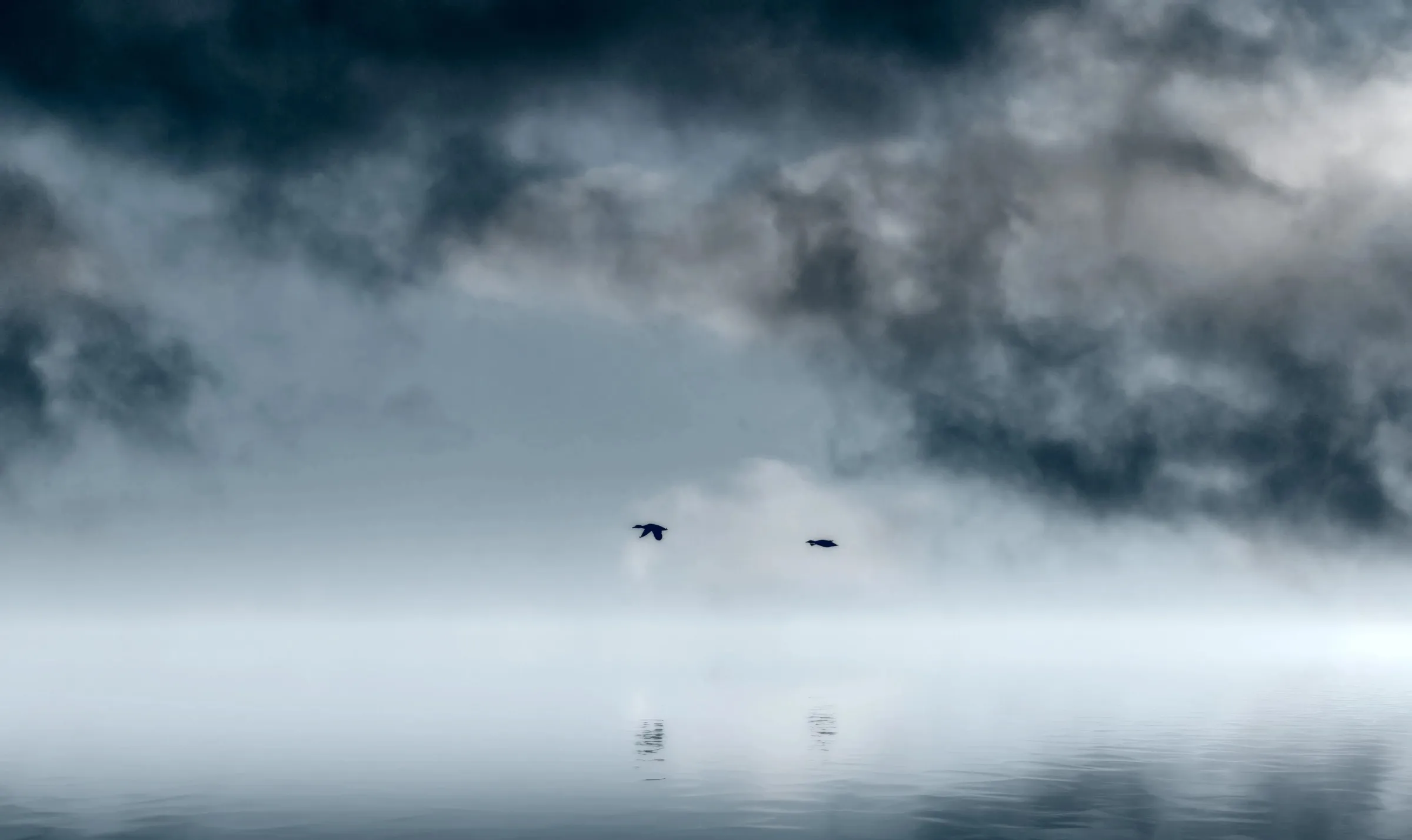 Two ducks flying low over open water in thick fog